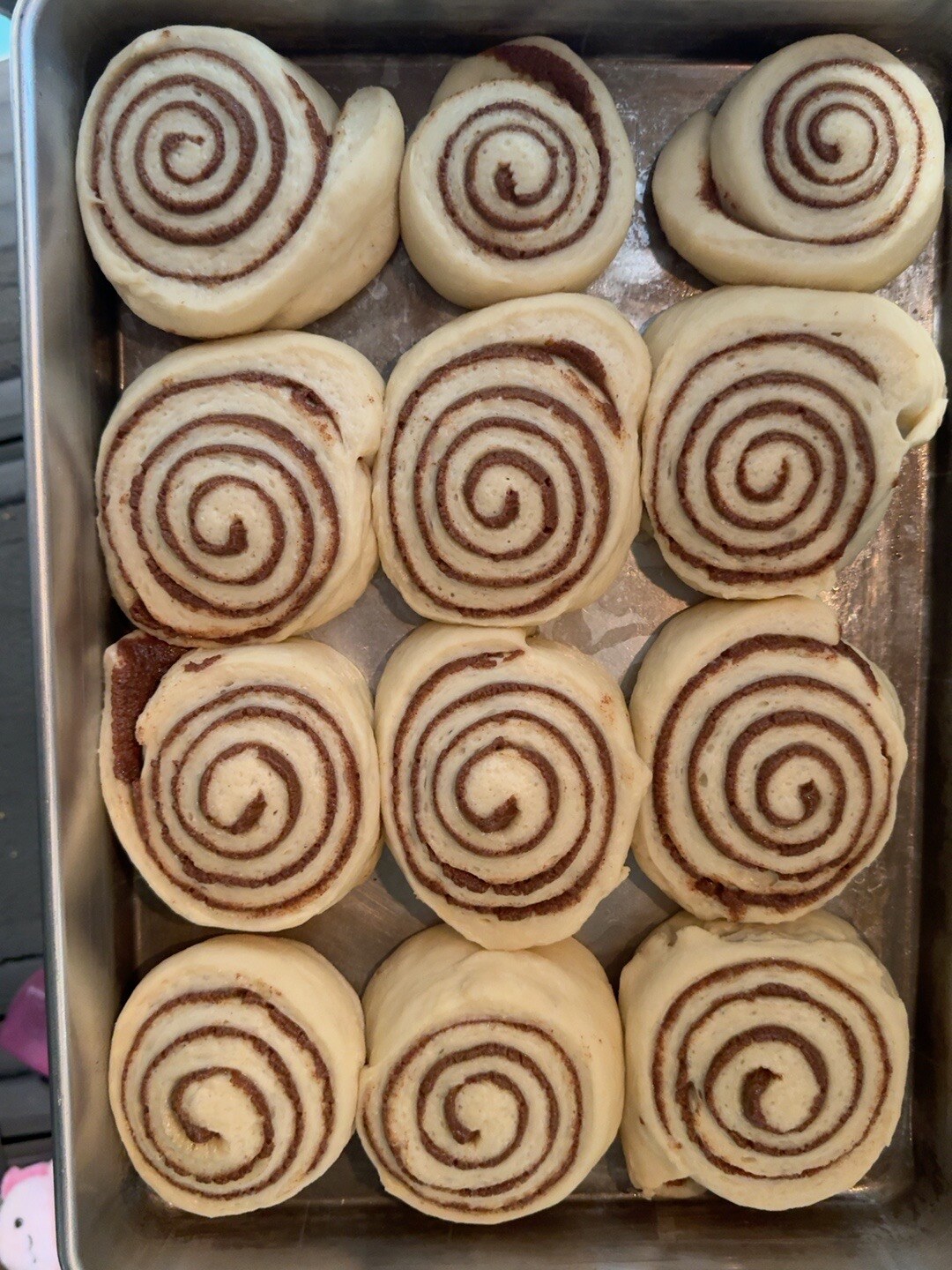 Twelve proofed cinnamon rolls, swollen and nearly touching in the pan.