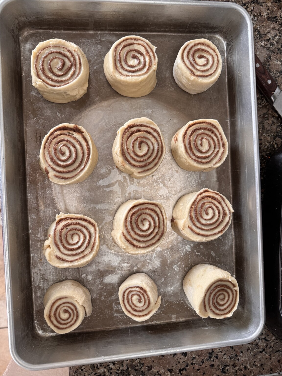 Twelve cinnamon rolls spaced apart in a pan before the second rise.